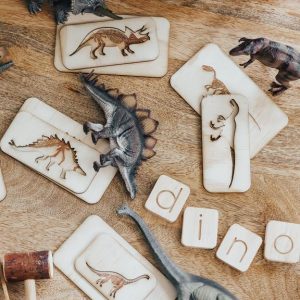 Collection of dinosaur matching shapes and dinosaur toys