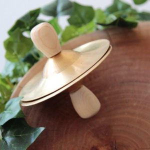 Mini cymbals on timber table with ivy